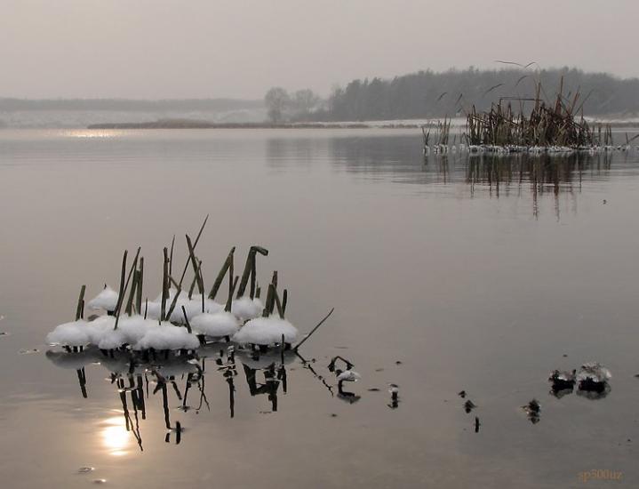 Каплани з panoramio.com - Капланы