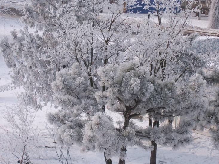 Радсад з panoramio.com - Радсад