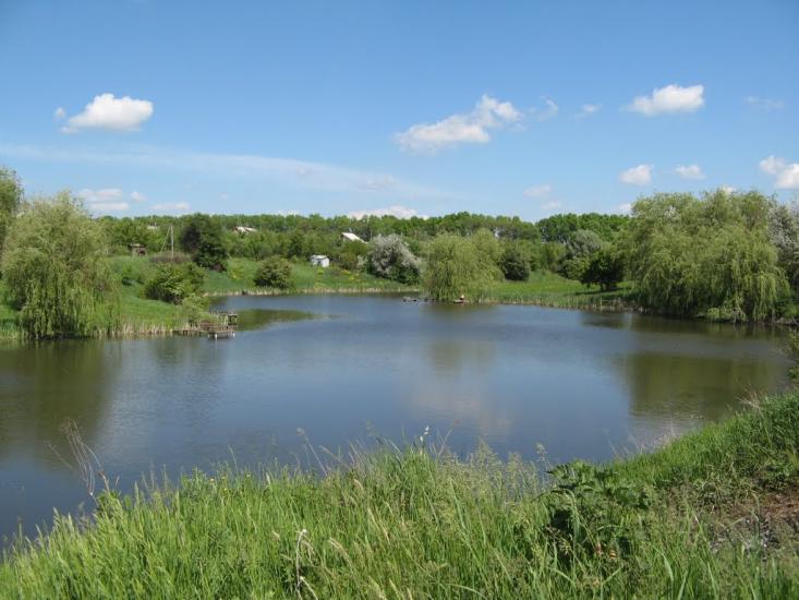 Комуніст з panoramio.com - Коммунист