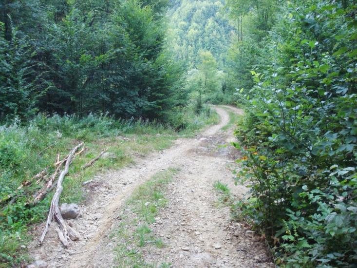 Красна з panoramio.com - Krasna