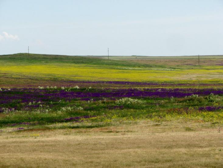 Вулканівка з panoramio.com - Вулкановка