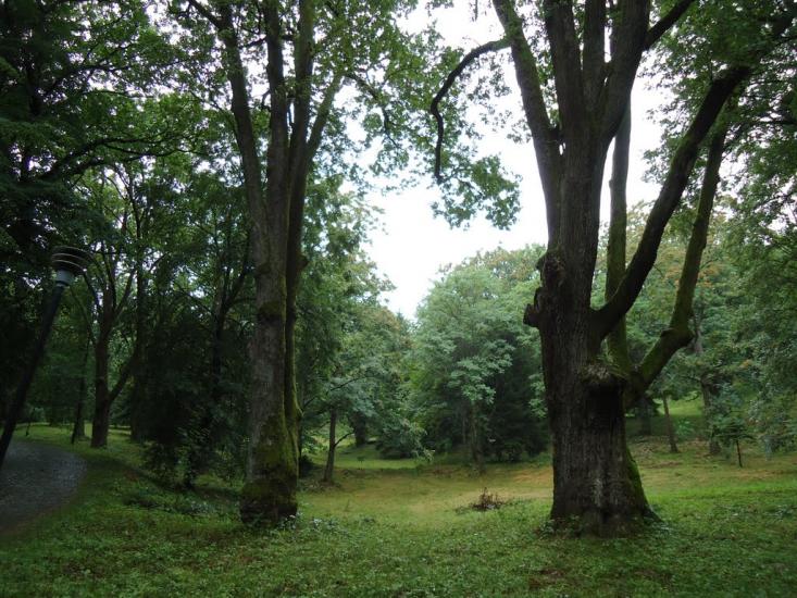 Чинадійово з panoramio.com - Чинадиево