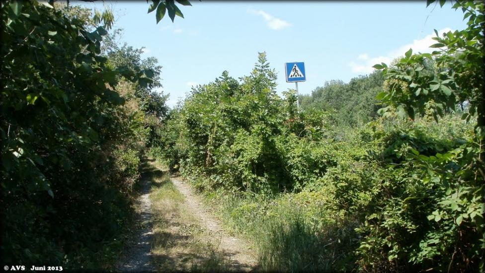 Підгородне з panoramio.com - Pidgorodne