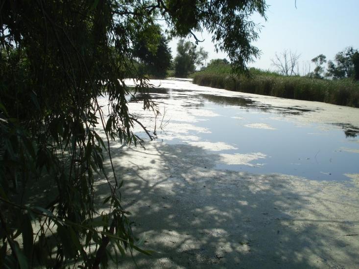 Курортне з panoramio.com - Курортное