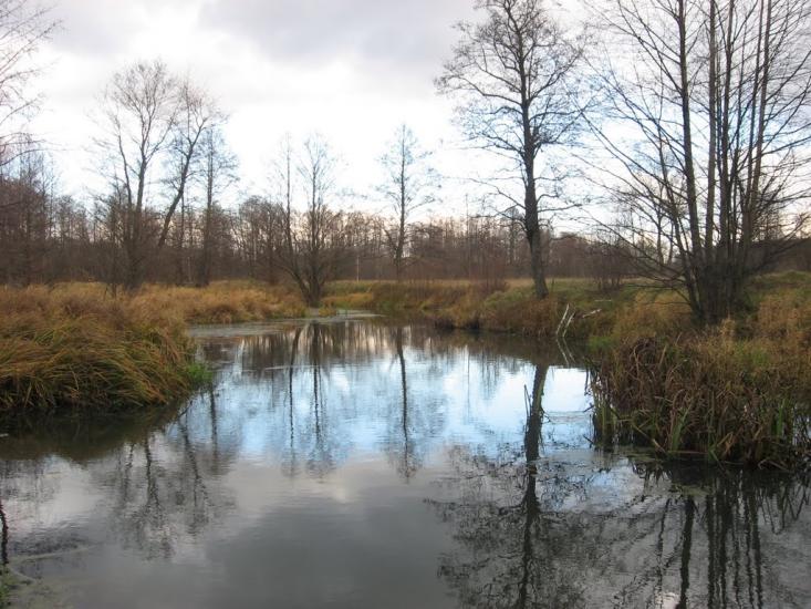 Візня з panoramio.com - Візня