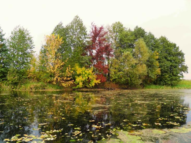 Єньків з panoramio.com - Еньков