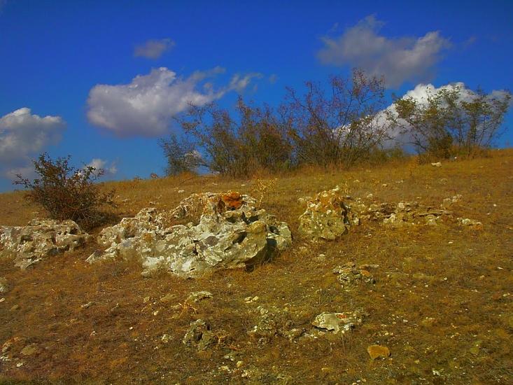 Рєпіне з panoramio.com - Рєпіне