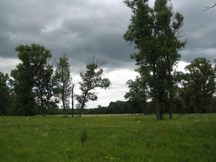 Глоди з panoramio.com - Glody