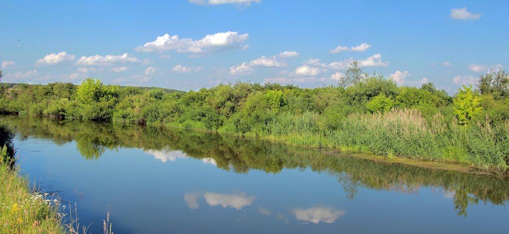 Пухова з panoramio.com - Пухова
