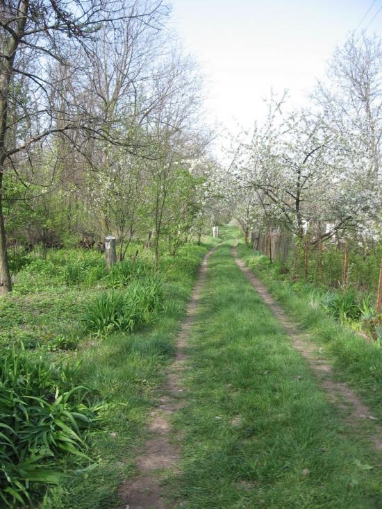 Горького з panoramio.com - Горького