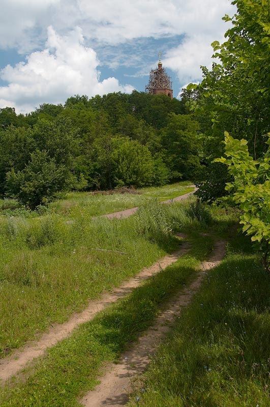 Чернеччина з panoramio.com - Чернеччина