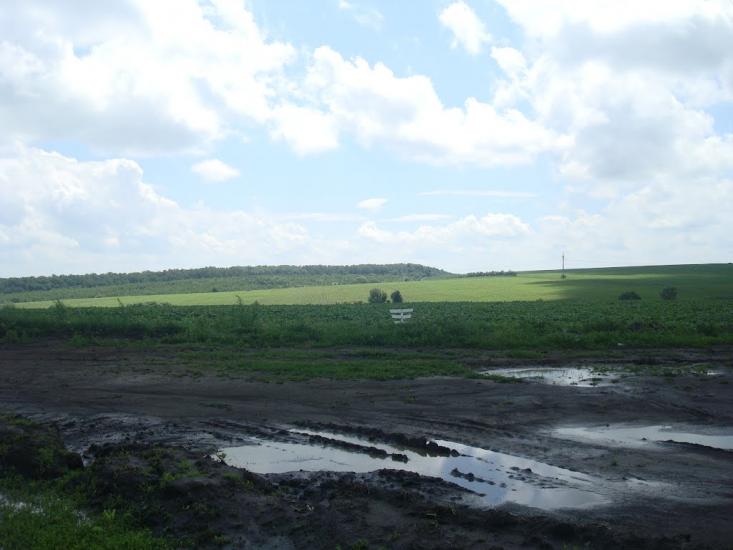 Грузевиця з panoramio.com - Грузевиця