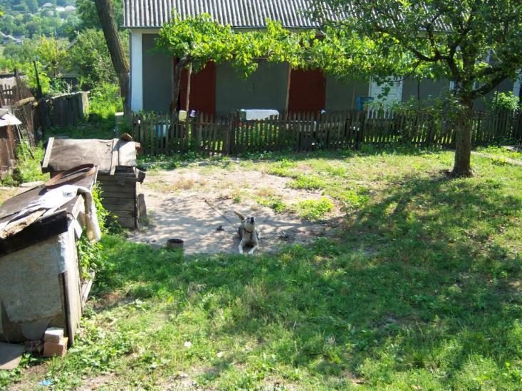 Подвір'ївка з panoramio.com - Подворьевка
