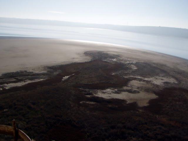 Нова Ковалівка з panoramio.com - Нова Ковалівка