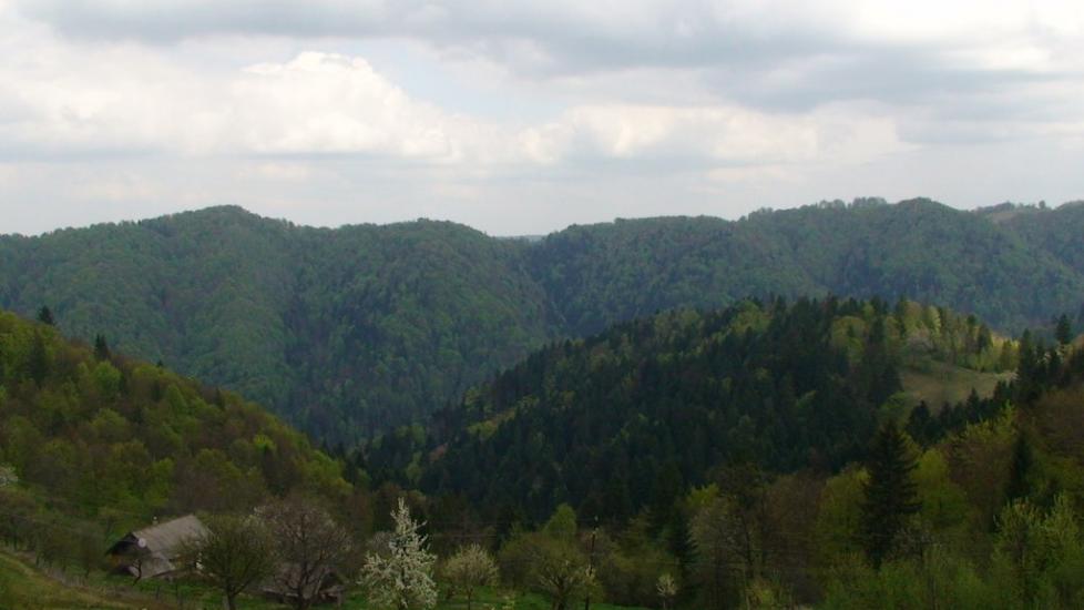 Розтоки з panoramio.com - Розтоки
