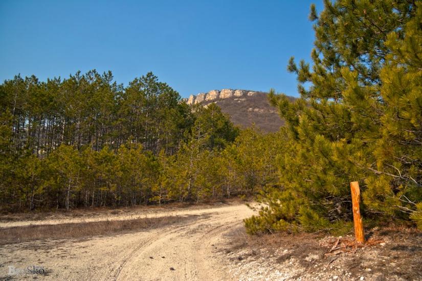 Прохладне з panoramio.com - Прохладное
