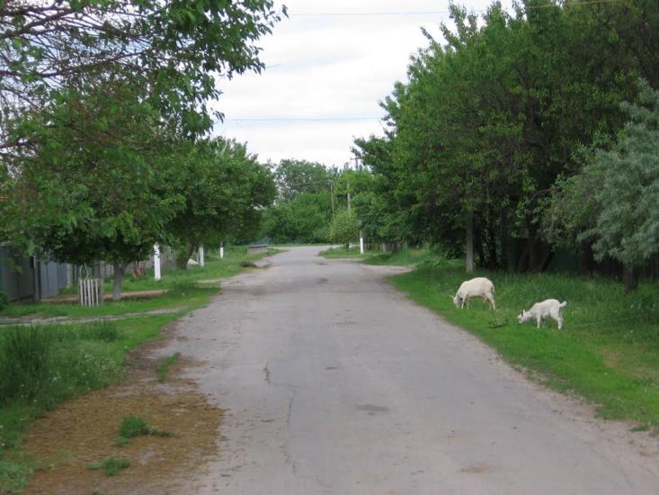 Олександрівка з panoramio.com - Олександрівка