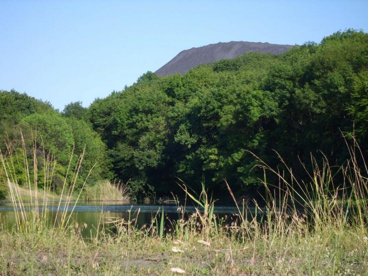 Сєверне з panoramio.com - Северное