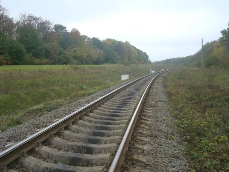 Буйволівці з panoramio.com - Buyvolivtsi