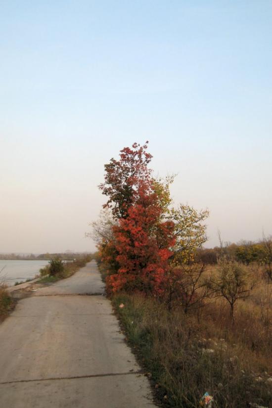 Щастя з panoramio.com - Счастье