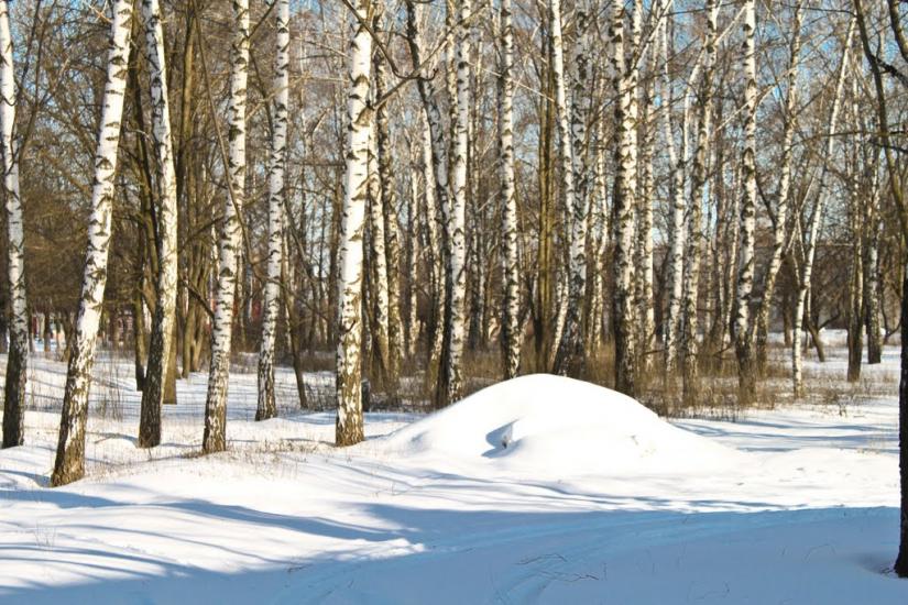 Комуніст з panoramio.com - Комуніст
