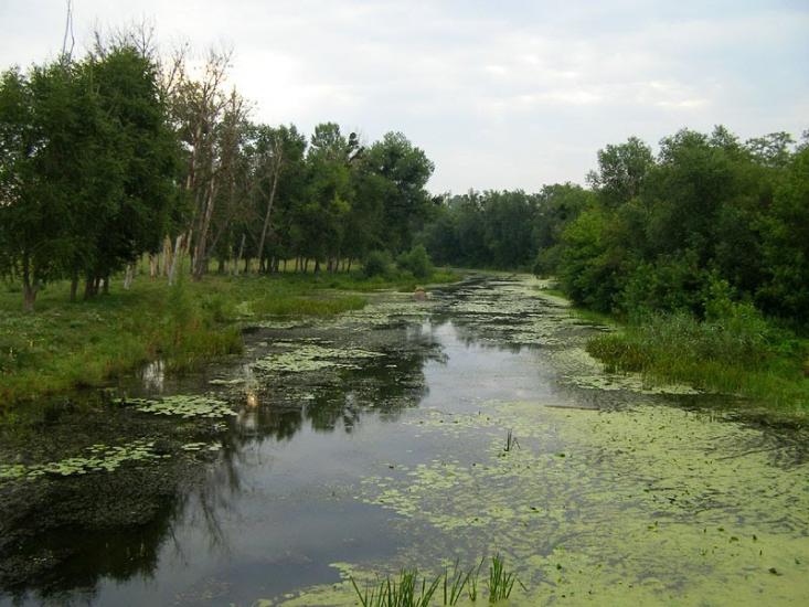 Веселий Кут з panoramio.com - Веселий Кут