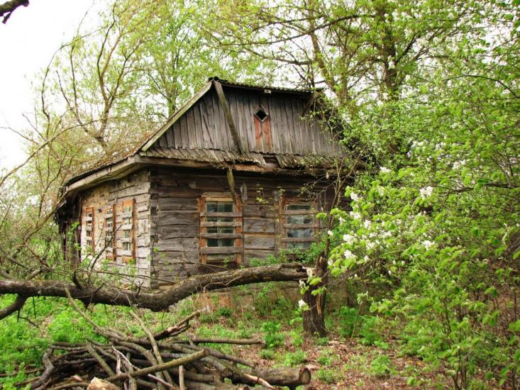 Мекшунівка з panoramio.com - Mekshunivka