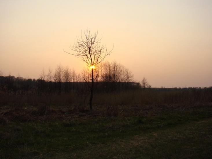 Лубенці з panoramio.com - Лубенці