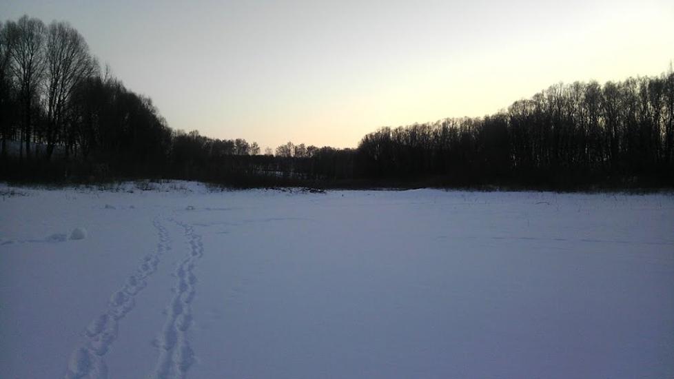 Нечаївське з panoramio.com - Нечаївське