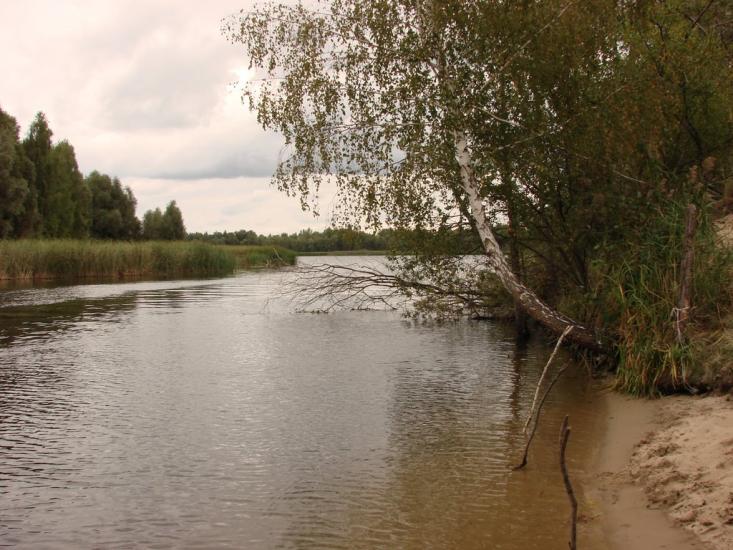Сорокошичі з panoramio.com - Сорокошичи