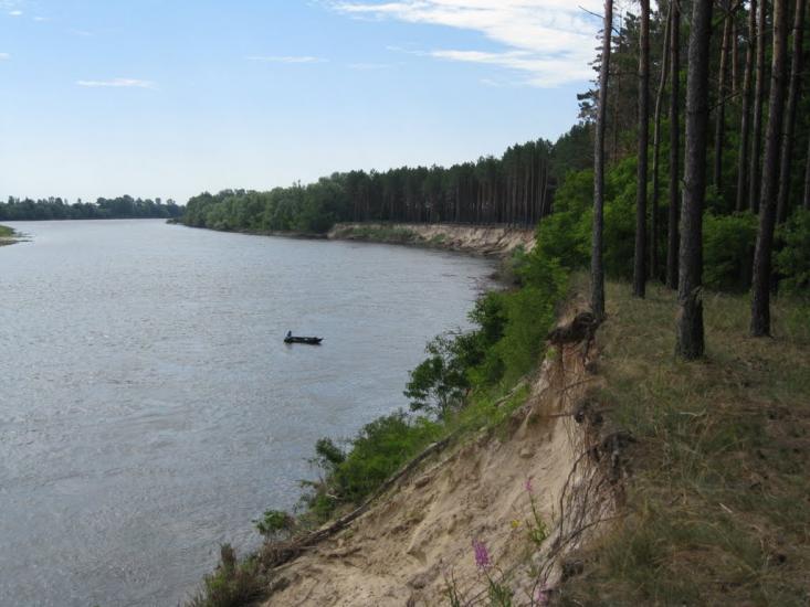 Короп'є з panoramio.com - Короп'є