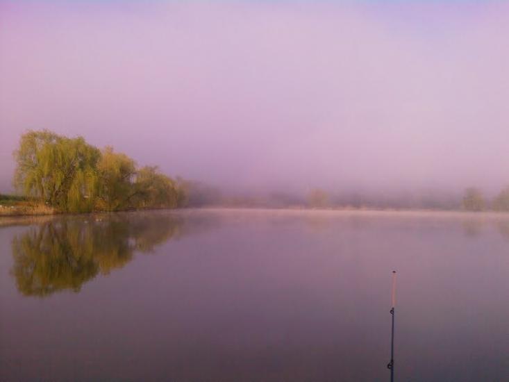 Вільхівка з panoramio.com - Вільхівка