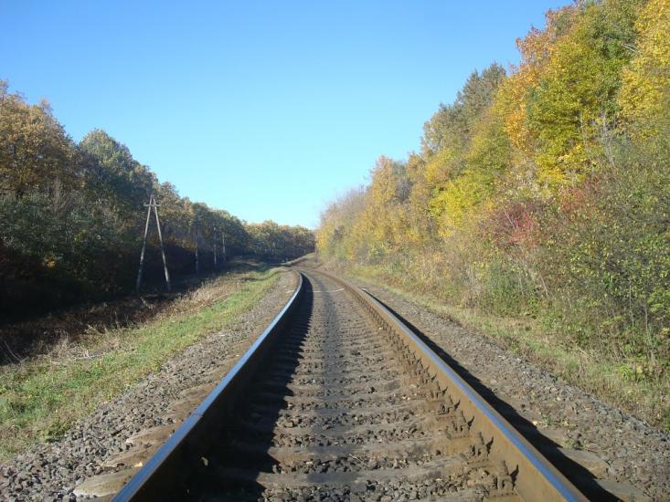 Щиборівка з panoramio.com - Щиборовка