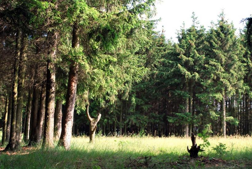 Кашперівка з panoramio.com - Кашперівка