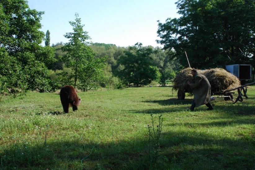 Городське з panoramio.com - Городское