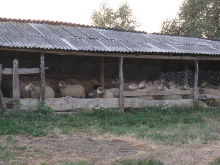 Михальча з panoramio.com - Mykhalcha