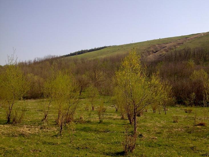 Сокілець з panoramio.com - Соколец