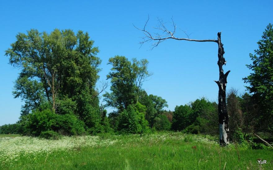 Глинське з panoramio.com - Глинское