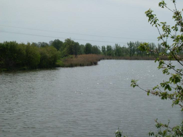 Бережне з panoramio.com - Бережное