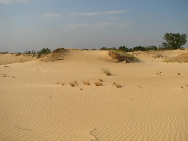 Пролетарка з panoramio.com - Пролетарка