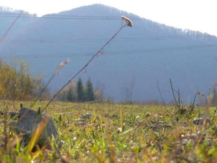 Абранка з panoramio.com - Абранка