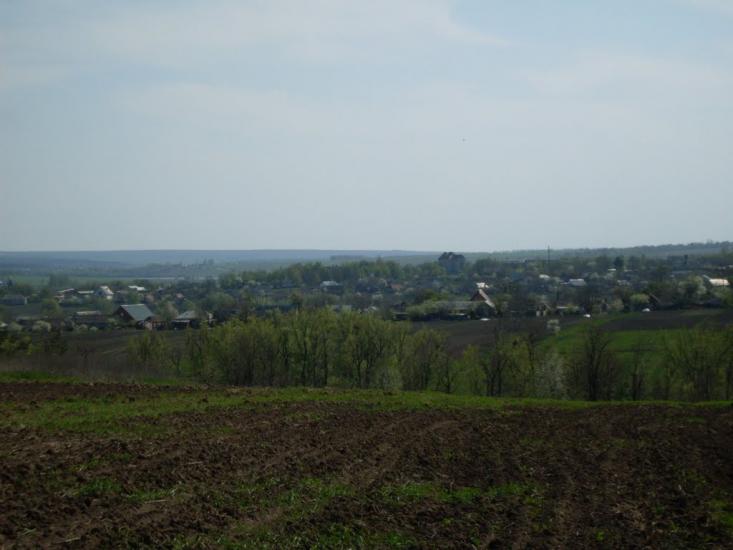 Куна з panoramio.com - Kuna