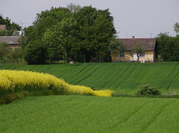 Корчів з panoramio.com - Корчів