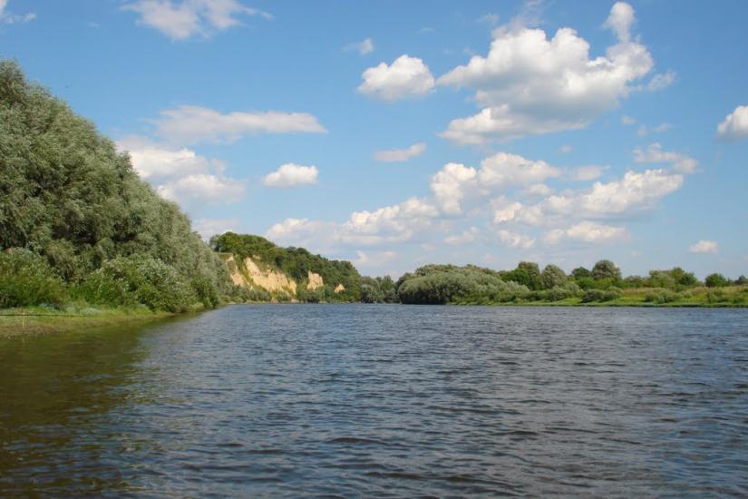 Араповичи з panoramio.com - Араповичи