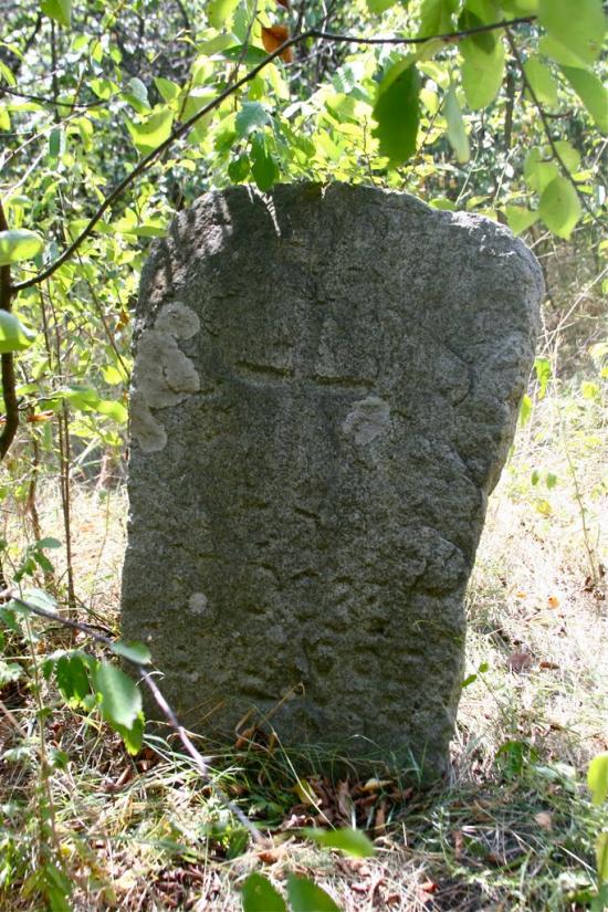 Луковиця з panoramio.com - Луковица