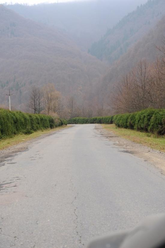 Усть-Чорна з panoramio.com - Усть-Чорна
