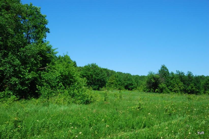 Глинське з panoramio.com - Глинское