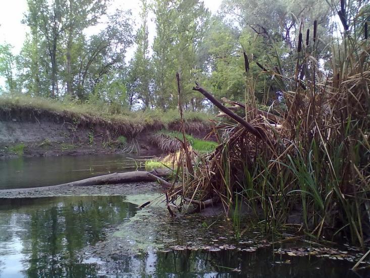 Бахмутівка з panoramio.com - Бахмутовка