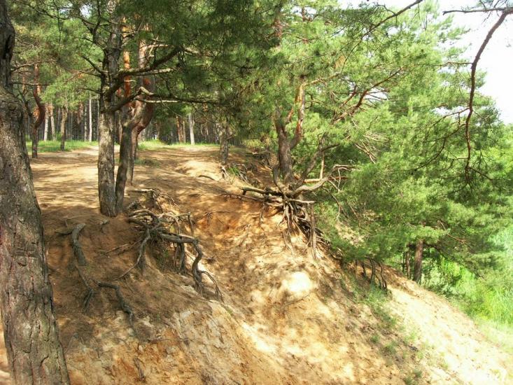Широке з panoramio.com - Широкое