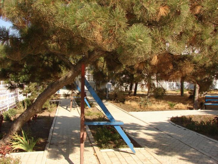 Сєдове з panoramio.com - Седово